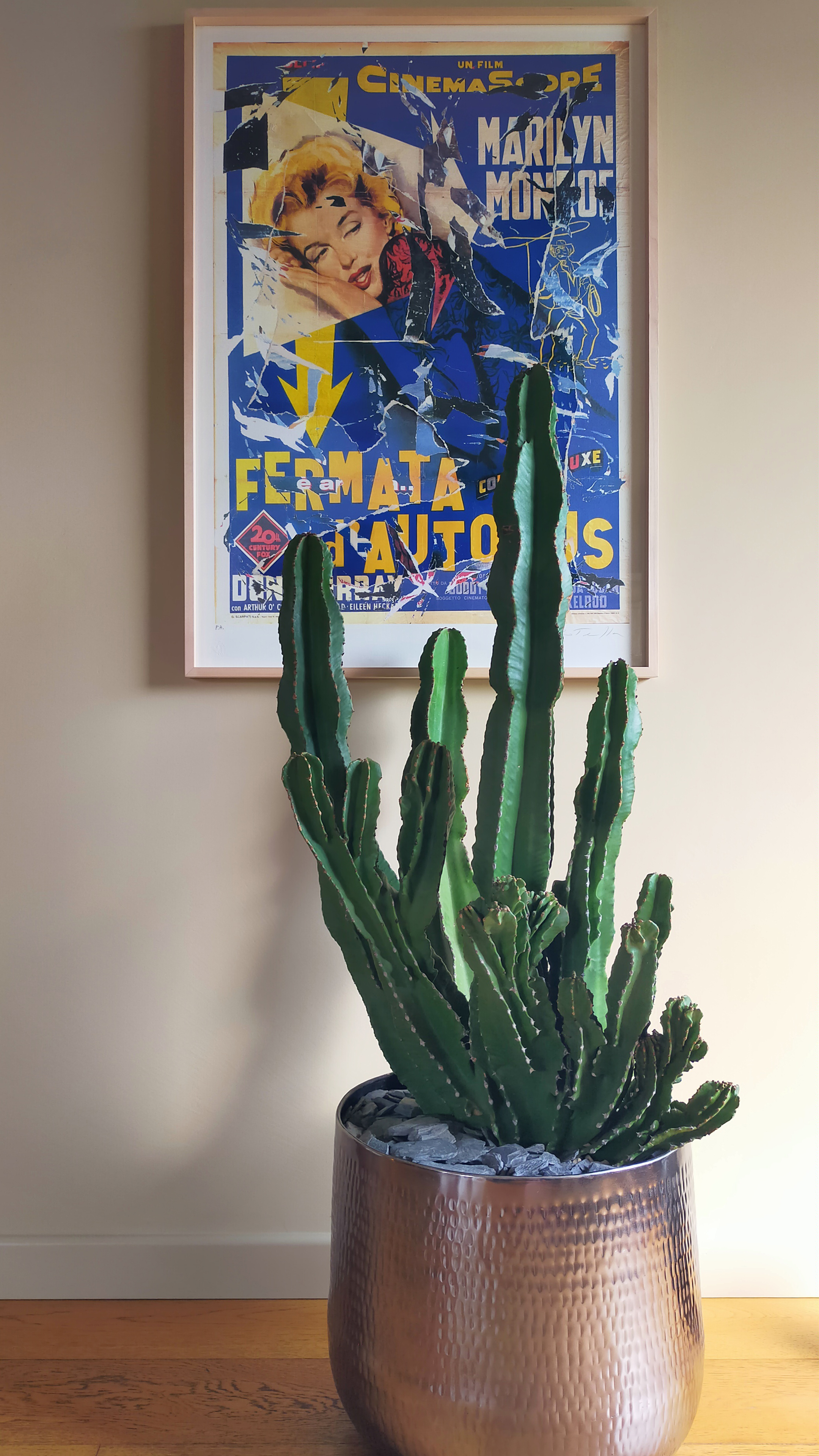 Attico Brescia quadro Rotella arte contemporanea euphorbia eritrea